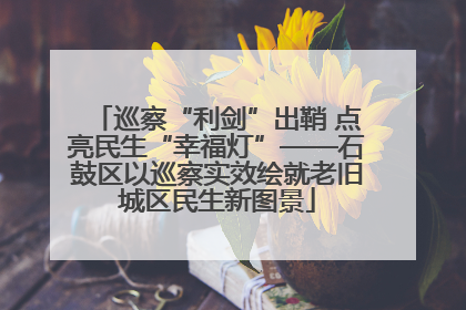 巡察“利剑”出鞘 点亮民生“幸福灯”——石鼓区以巡察实效绘就老旧城区民生新图景