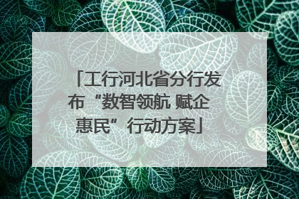 工行河北省分行发布“数智领航 赋企惠民”行动方案
