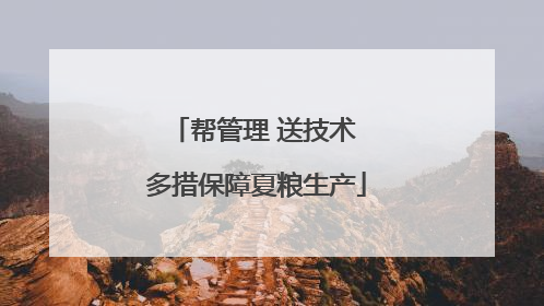 帮管理 送技术 多措保障夏粮生产