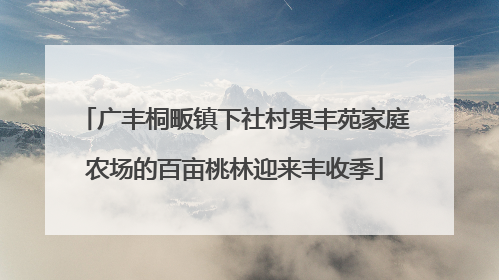广丰桐畈镇下社村果丰苑家庭农场的百亩桃林迎来丰收季