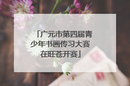 广元市第四届青少年书画传习大赛在旺苍开赛