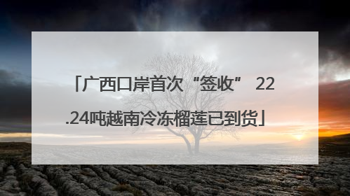 广西口岸首次“签收” 22.24吨越南冷冻榴莲已到货