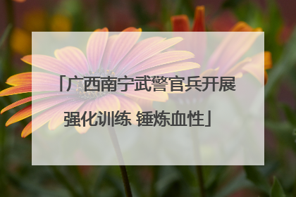 广西南宁武警官兵开展强化训练 锤炼血性