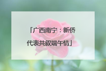 广西南宁：新侨代表共叙端午情