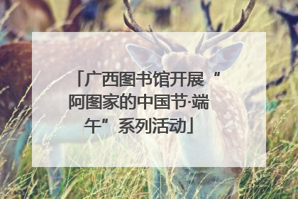 广西图书馆开展“阿图家的中国节·端午”系列活动
