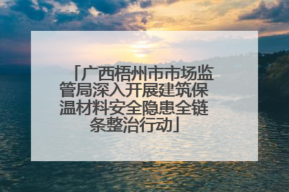 广西梧州市市场监管局深入开展建筑保温材料安全隐患全链条整治行动