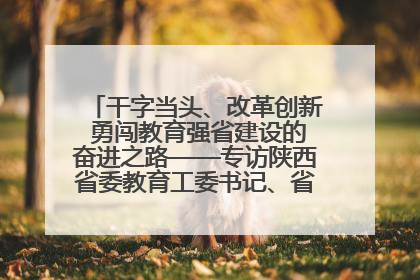 干字当头、改革创新 勇闯教育强省建设的奋进之路——专访陕西省委教育工委书记、省教育厅厅长王树声