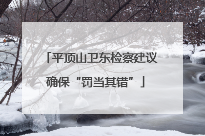 平顶山卫东检察建议确保“罚当其错”