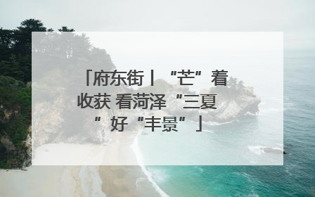 府东街丨“芒”着收获 看菏泽“三夏”好“丰景”