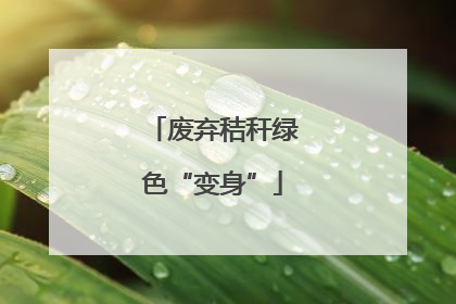 废弃秸秆绿色“变身”
