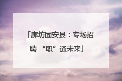 廊坊固安县：专场招聘 “职”通未来
