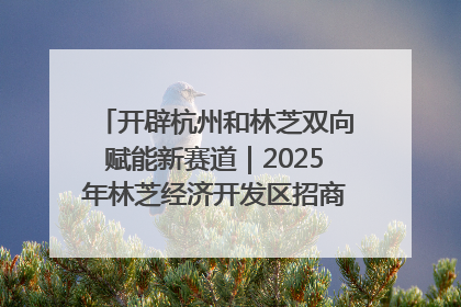 开辟杭州和林芝双向赋能新赛道｜2025年林芝经济开发区招商引资（杭州）推介展销活动在杭举办