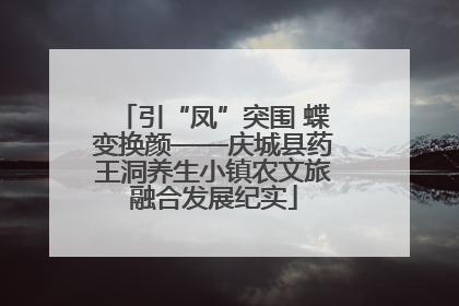 引“凤”突围 蝶变换颜——庆城县药王洞养生小镇农文旅融合发展纪实