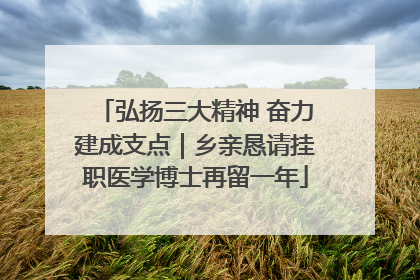 弘扬三大精神 奋力建成支点｜乡亲恳请挂职医学博士再留一年