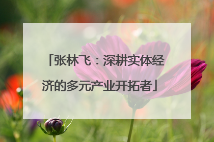 张林飞：深耕实体经济的多元产业开拓者