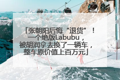 张朝阳后悔“退货”！一个绝版Labubu，被胡润拿去换了一辆车，整车原价值上百万元