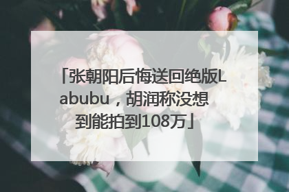 张朝阳后悔送回绝版Labubu，胡润称没想到能拍到108万