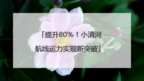 提升80％！小清河航线运力实现新突破