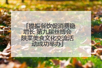 提振餐饮促消费稳增长 第九届丝博会陕菜美食文化交流活动成功举办