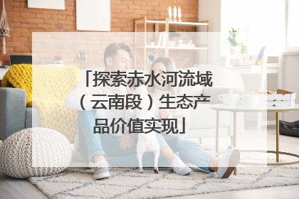 探索赤水河流域（云南段）生态产品价值实现