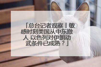 总台记者观察丨敏感时刻美国从中东撤人 以色列对伊朗动武条件已成熟？