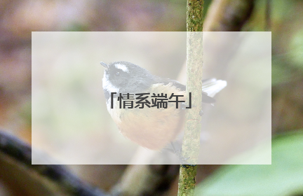 情系端午