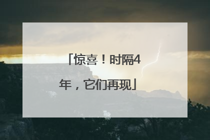 惊喜！时隔4年，它们再现