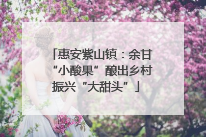 惠安紫山镇：余甘“小酸果”酿出乡村振兴“大甜头”