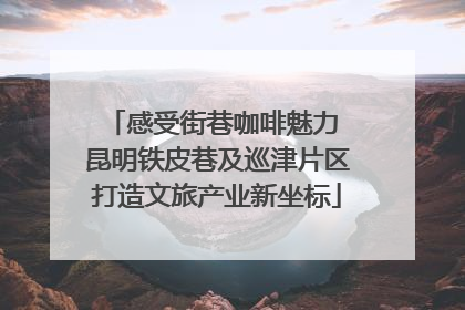 感受街巷咖啡魅力 昆明铁皮巷及巡津片区打造文旅产业新坐标