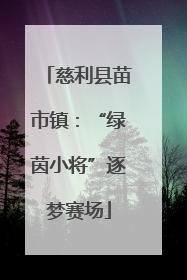 慈利县苗市镇：“绿茵小将”逐梦赛场