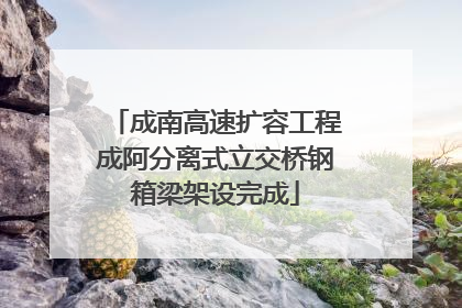 成南高速扩容工程成阿分离式立交桥钢箱梁架设完成