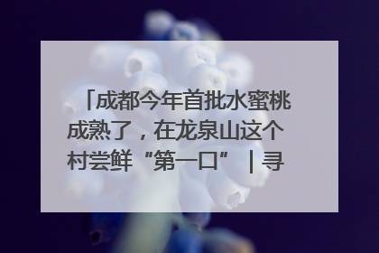 成都今年首批水蜜桃成熟了，在龙泉山这个村尝鲜“第一口”｜寻找和美乡村推荐官