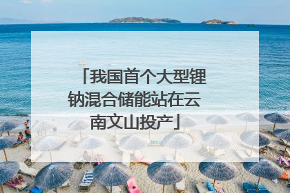 我国首个大型锂钠混合储能站在云南文山投产