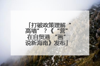 打破政策理解“高墙”？《“营”在自贸港 “画”说新海南》发布