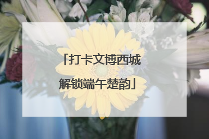 打卡文博西城 解锁端午楚韵