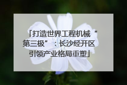 打造世界工程机械“第三极”：长沙经开区引领产业格局重塑