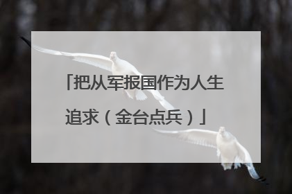 把从军报国作为人生追求（金台点兵）