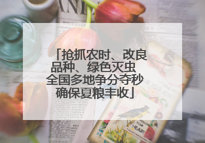 抢抓农时、改良品种、绿色灭虫 全国多地争分夺秒确保夏粮丰收