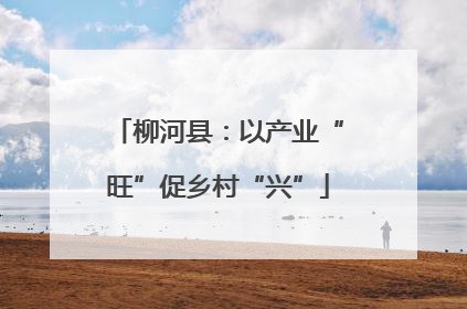柳河县：以产业“旺”促乡村“兴”