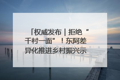 权威发布｜拒绝“千村一面”！东阿差异化推进乡村振兴示范片区建设