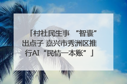 村社民生事 “智囊”出点子 嘉兴市秀洲区推行AI“民情一本账”