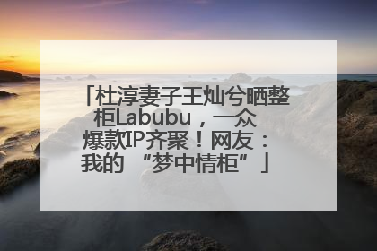 杜淳妻子王灿兮晒整柜Labubu，一众爆款IP齐聚！网友：我的 “梦中情柜”