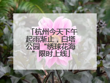 杭州今天下午起雨渐止，白塔公园“绣球花海”限时上线