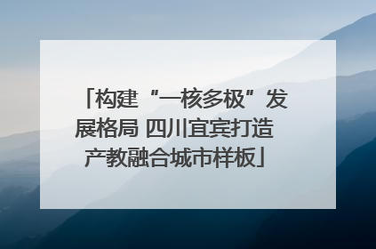 构建“一核多极”发展格局 四川宜宾打造产教融合城市样板