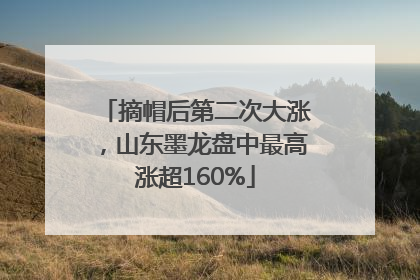 摘帽后第二次大涨，山东墨龙盘中最高涨超160%