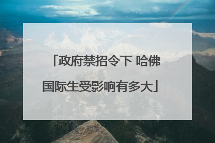 政府禁招令下 哈佛国际生受影响有多大