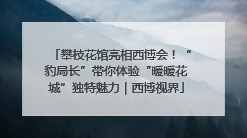 攀枝花馆亮相西博会！“豹局长”带你体验“暖暖花城”独特魅力｜西博视界