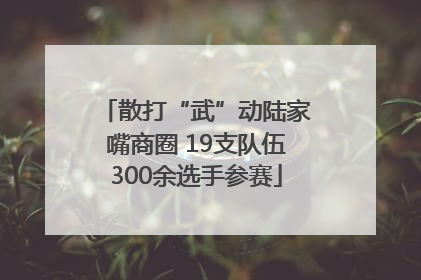 散打“武”动陆家嘴商圈 19支队伍300余选手参赛