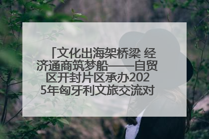 文化出海架桥梁 经济通商筑梦船——自贸区开封片区承办2025年匈牙利文旅交流对接活动专场