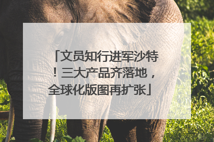 文员知行进军沙特！三大产品齐落地，全球化版图再扩张